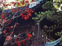 -豫园