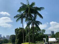 -新加坡总统府