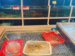 -林淡伯•厦门本地菜•生烫海鲜烧酒配(明发店)