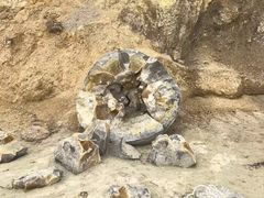 -摩拉基大圆石