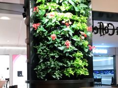 -Peet's Coffee皮爷咖啡(德基店)