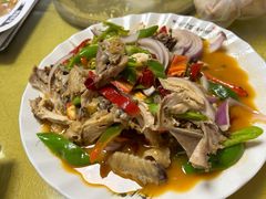 -煲来饱去冷水鱼