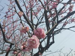 -大金山风景区
