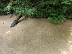 -大青沟风景区