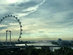 -新加坡文华东方酒店