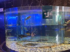 -王家渡火锅店(亦庄店)