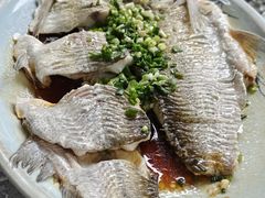 -阿巧茶庄