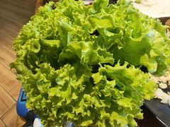 -金山烤肉(中兴公园店)