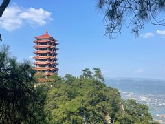 -缙云山景区