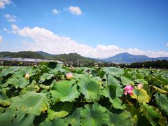 -古田会议纪念馆