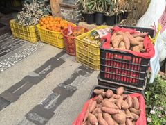 -园林美食城·本土农家菜(杨和镇店)