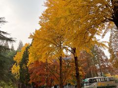 -苏州大学(天赐庄校区)