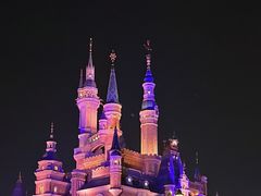 -上海迪士尼度假区