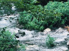-太湖源风景区
