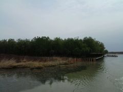 -微山湖红荷湿地景区