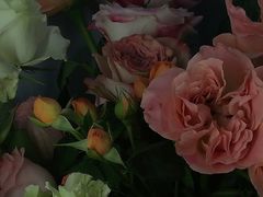 -循礼门鲜花花市(武汉循礼门店)