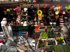 -青石桥花鸟鱼虫市场(叠翠城店)