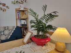 -昼夜咖啡馆