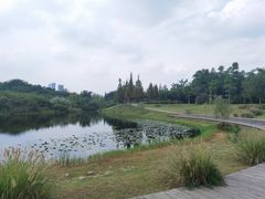 -眉山湿地公园(东坡区)