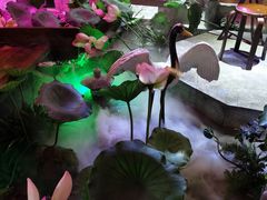 -韵秋荷(宝山龙湖天街店)