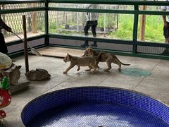 -秦皇岛野生动物园