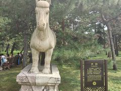 -北陵公园
