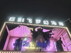 -巨鹏飞梦幻海岸