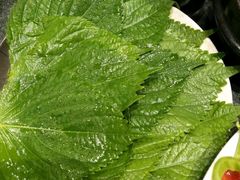 -完美生活炭火烤肉(二马路店)