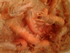 android_upload_pic-杭州钱江新城万怡酒店-西餐厅