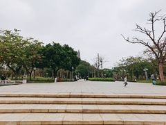 -顺峰山公园