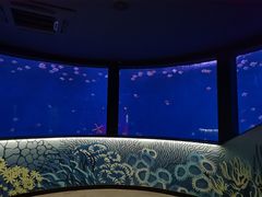 -沈阳海洋探索中心