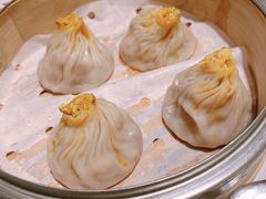 -新吉士·上海菜(浦东LCM置汇旭辉店)