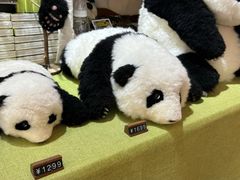 -轩客会(熊猫书店)