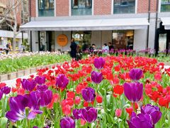 -Money Shops(愚园路店)