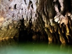 -怀托摩萤火虫洞