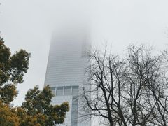 -紫峰大厦