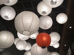 -旺小胖小龙虾