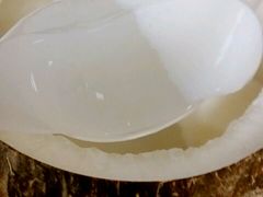 -椰爺爺·椰子冻砵仔糕