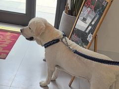 -喜多萌中农锦绣动物医院24H·猫科·牙科MRI·CT