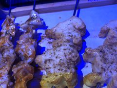 -很久以前羊肉串(清河店)