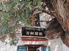 -古树酸奶(八廓南街店)