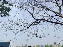-艾溪湖湿地公园