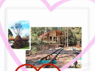 趣味十足：探秘神奇部落️