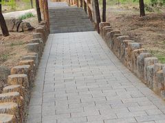 -白水寺森林公园