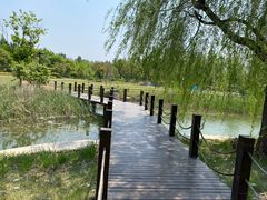 -林栖谷森林康养度假区