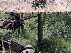 -云南野生动物园