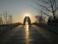 -大兴滨河森林公园