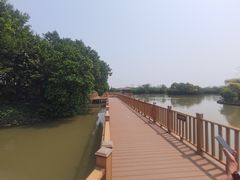 -大湾区中央湿地公园