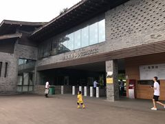 -都江堰中华大熊猫苑