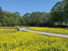 -北坞公园
